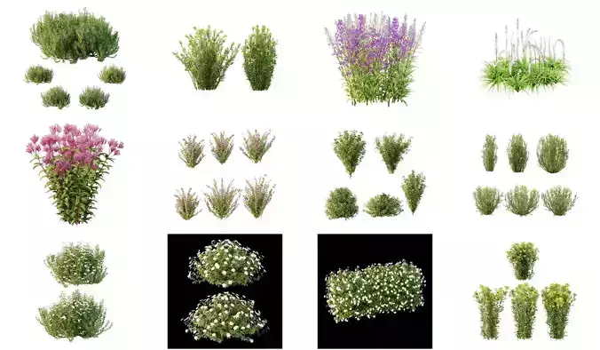  Excellent collection of Outdoor plants 37 Different Models 0056