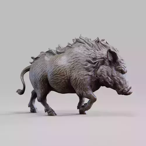 Wild Boar