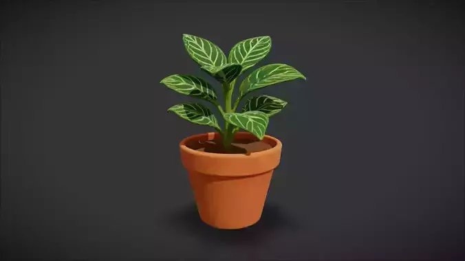 Indoor Plant 23