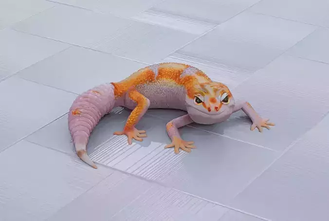 Gecko