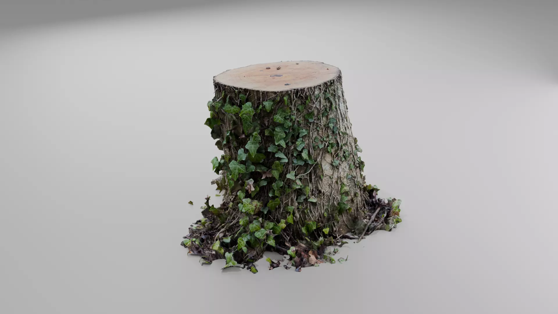 Ivy Covered Tree Stump 3D model