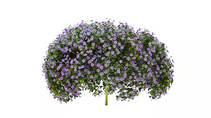 PBR Petunia Flower for Outdoor Environments