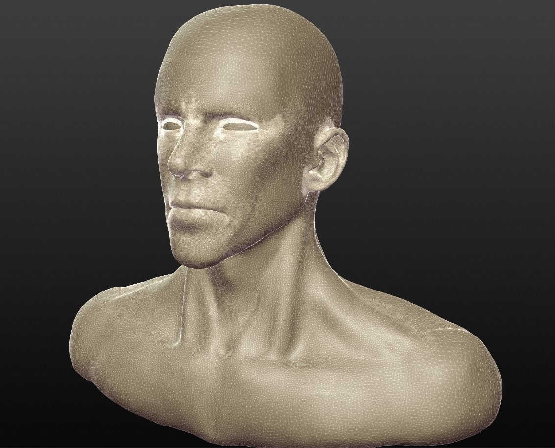 Anthony Kiedis - Bust Sctulpt Practice 3D model_1
