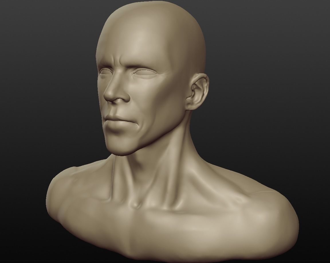 Anthony Kiedis - Bust Sctulpt Practice 3D model_0
