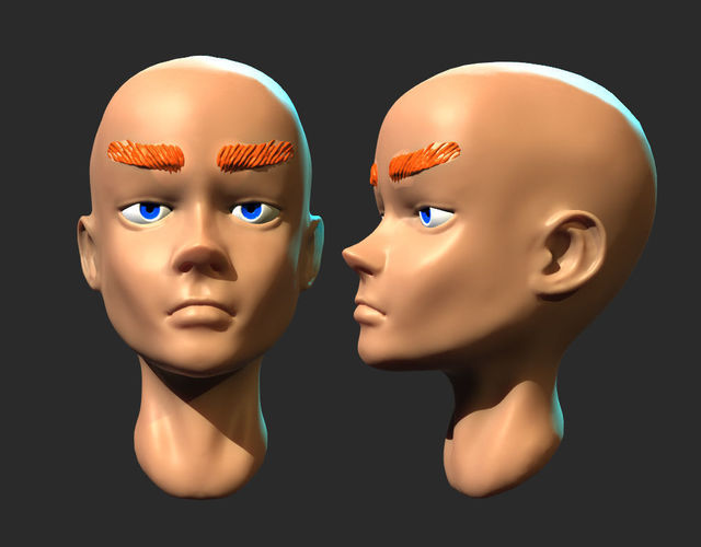 Female Head - Sculptris Practice 3D model