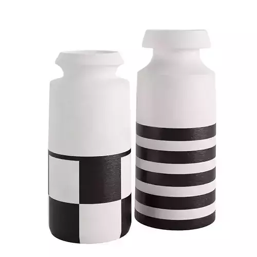 Black and White Ceramic Vases