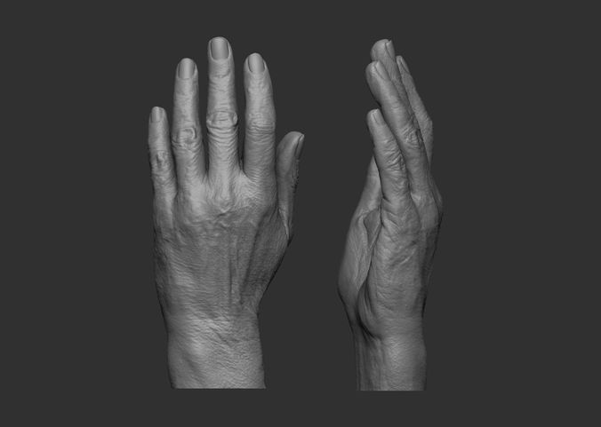 Elderly Female Hand 3D print model