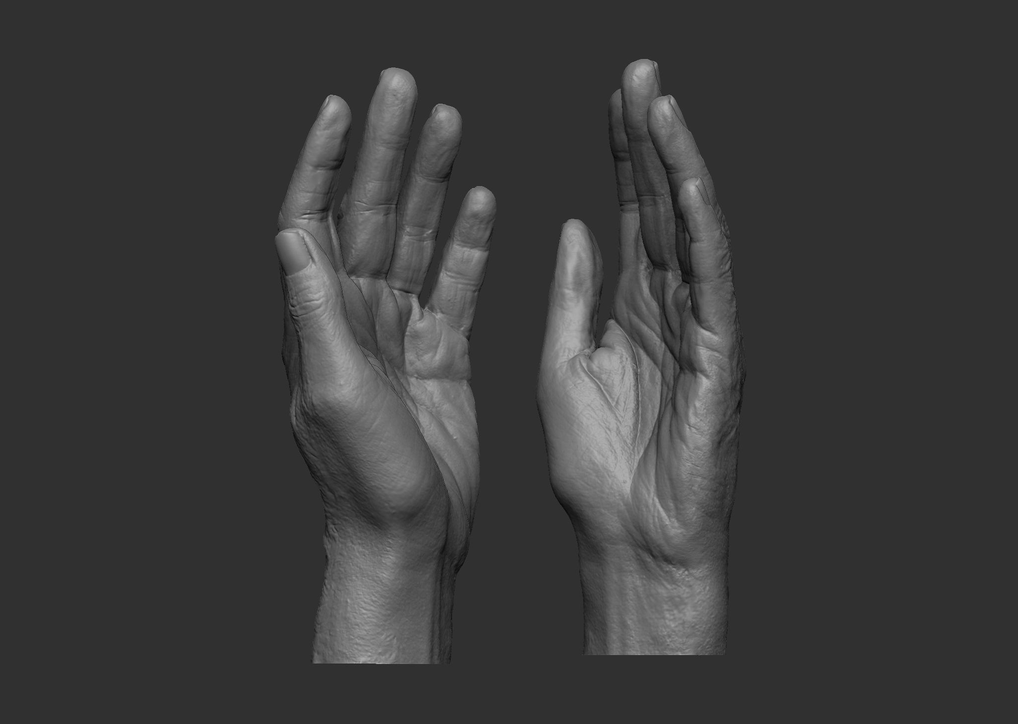 Elderly Female Hand 3D print model_4