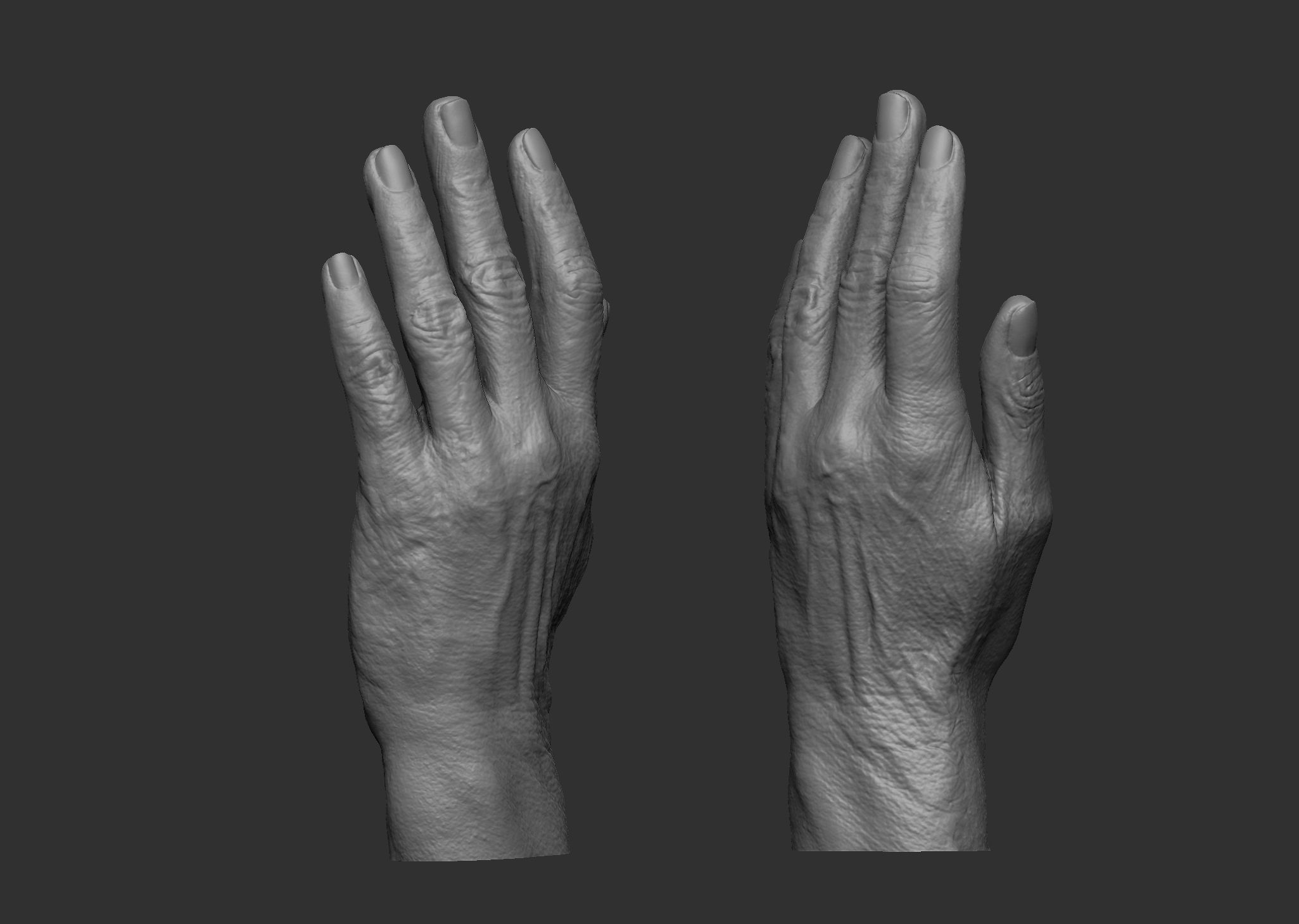 Elderly Female Hand 3D print model_2