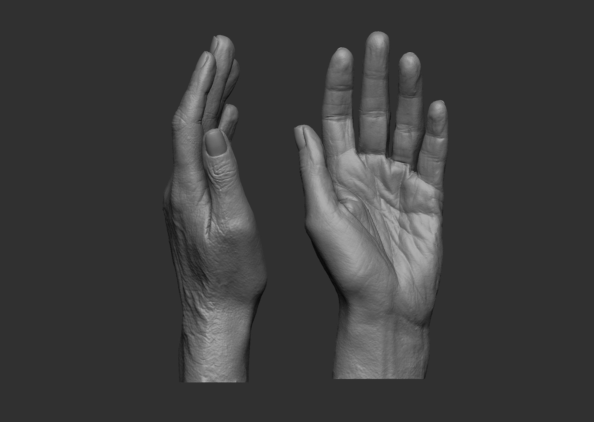 Elderly Female Hand 3D print model_1