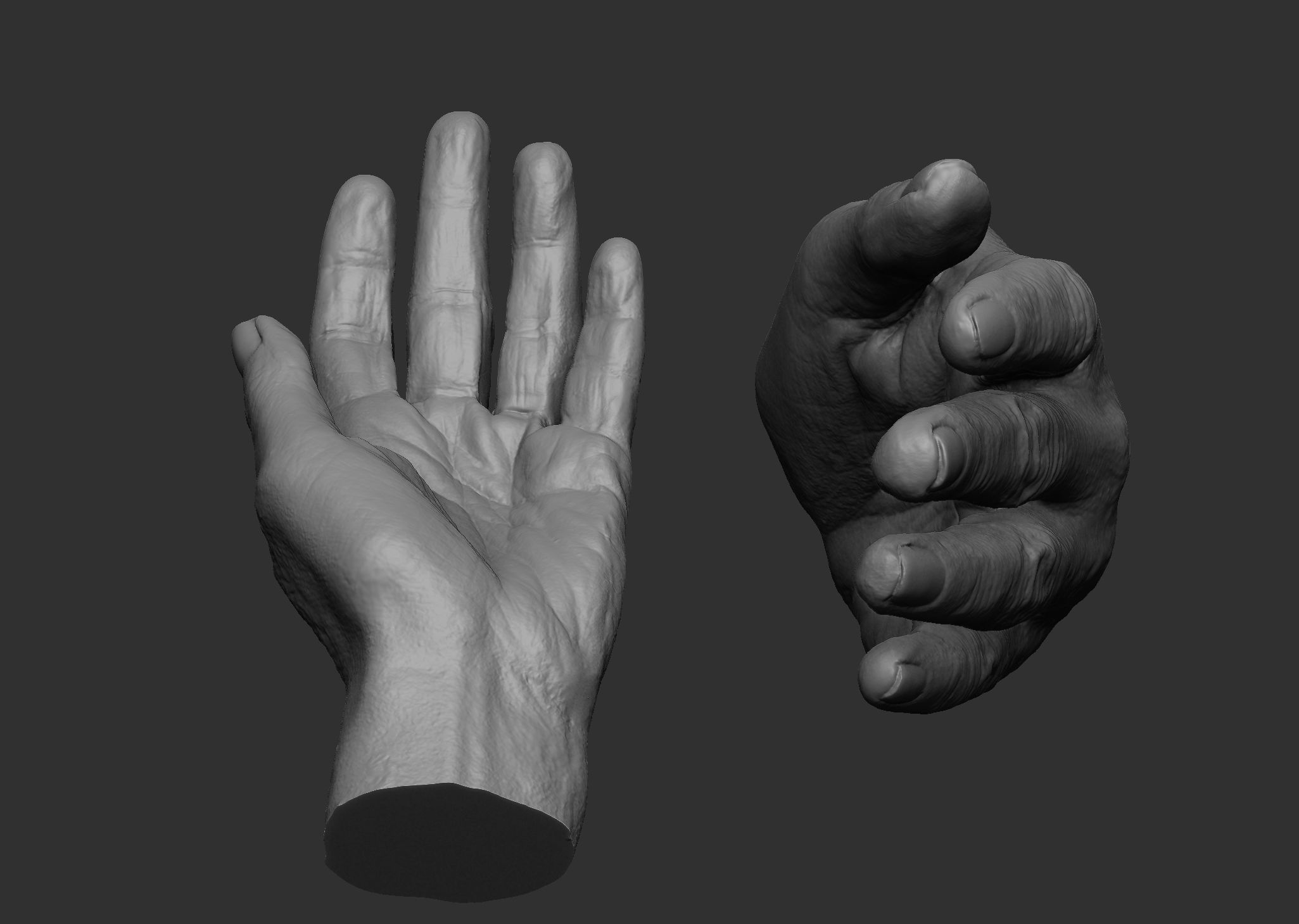 Elderly Female Hand 3D print model_3