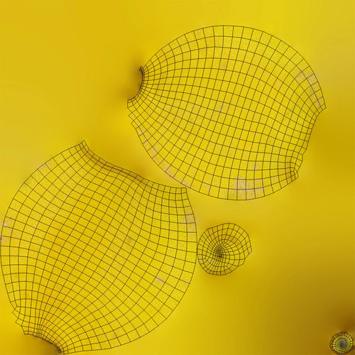 Lemons lemon 3D model 6