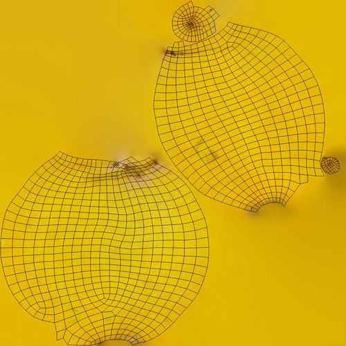 Lemons lemon 3D model 7
