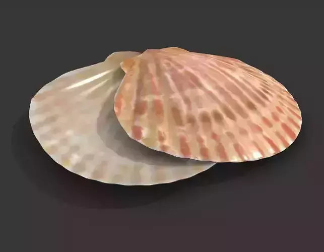 Ocean-Inspired Sea Shell 3D Model