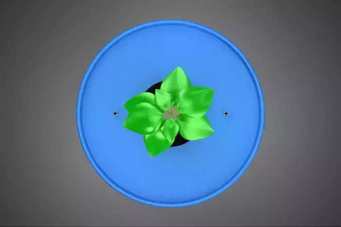 HYDROPONIC AEROPONIC PLANT GROW MEDIUM MEDIA DUTCH BUCKET SYSTEM