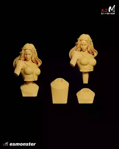 Wonderwoman  Bust By E S Monster