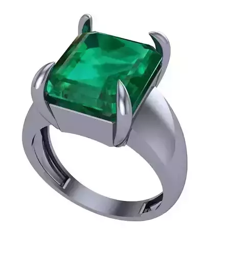 Animal movie Bobby Deol Rings