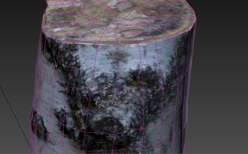 Stump birch Low-poly 3D model_7