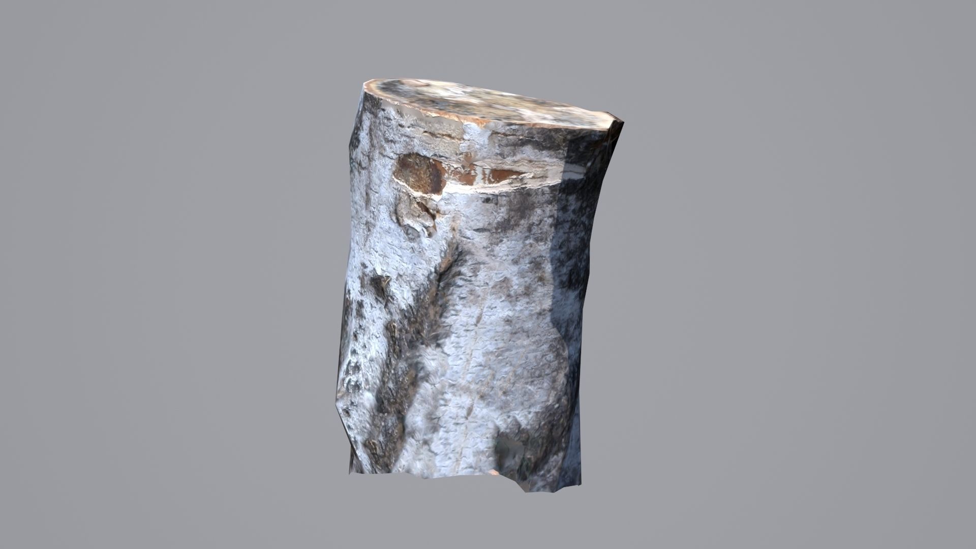 Stump birch Low-poly 3D model_2