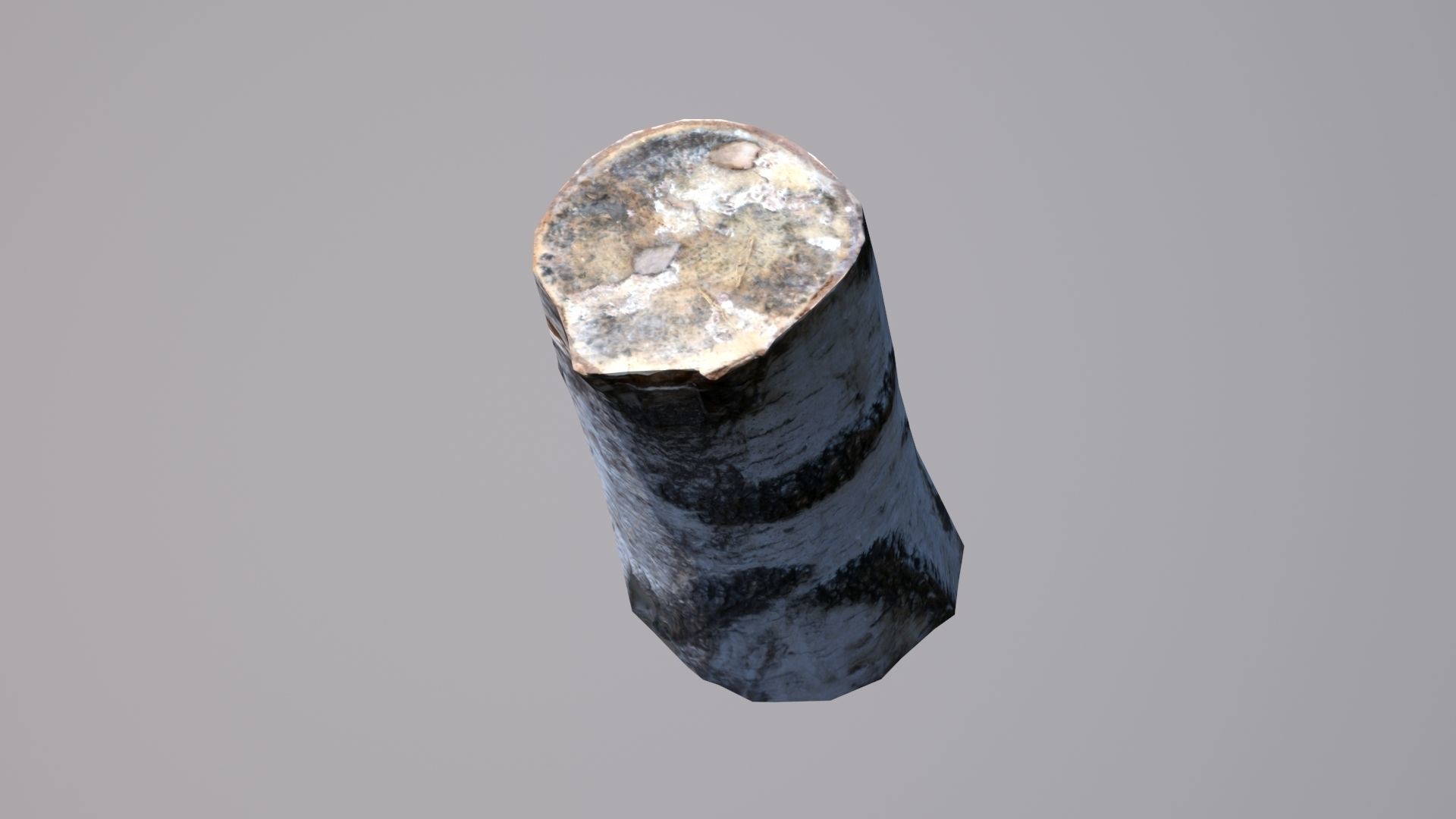 Stump birch Low-poly 3D model_1