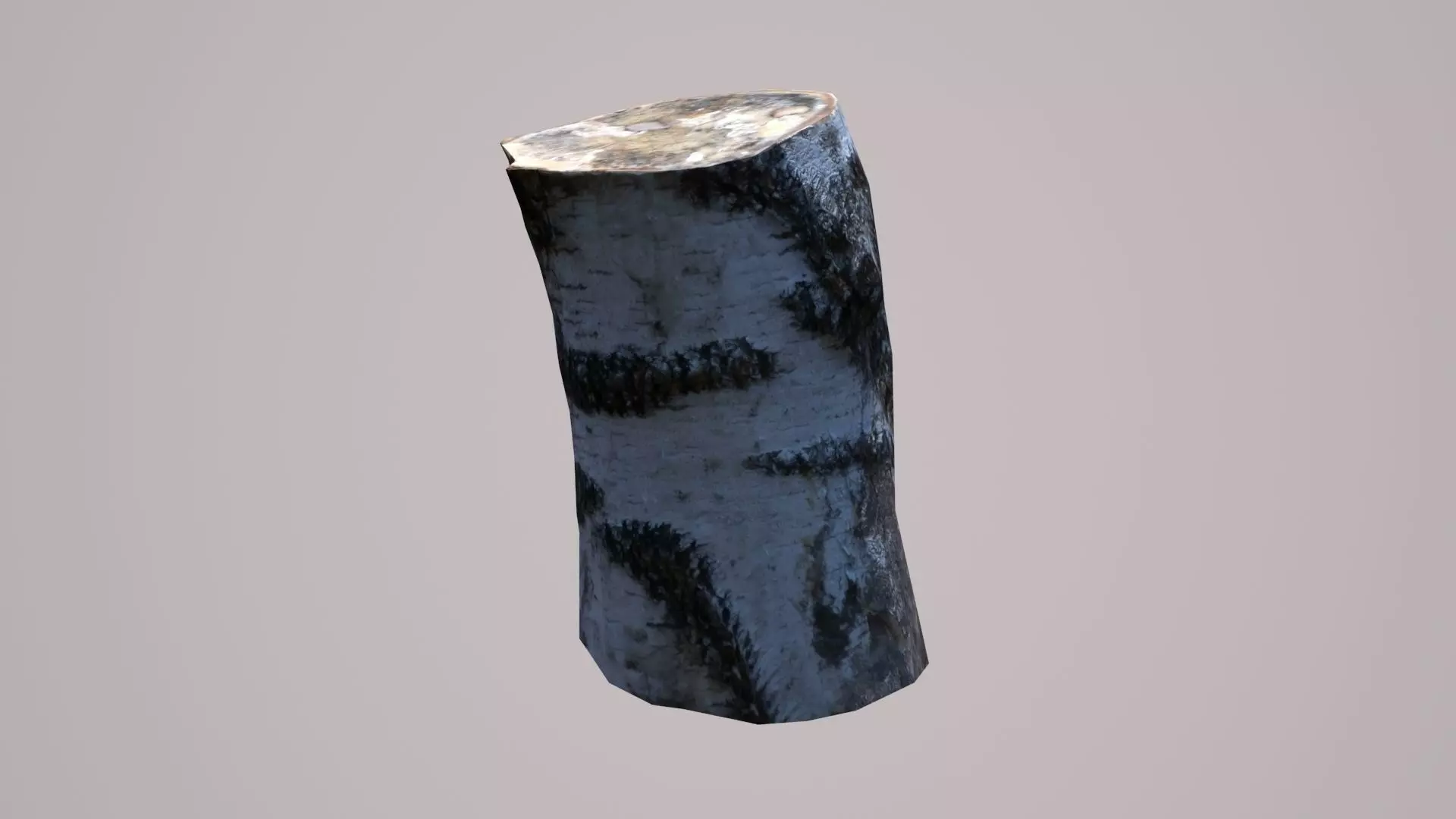 Stump birch Low-poly 3D model_0