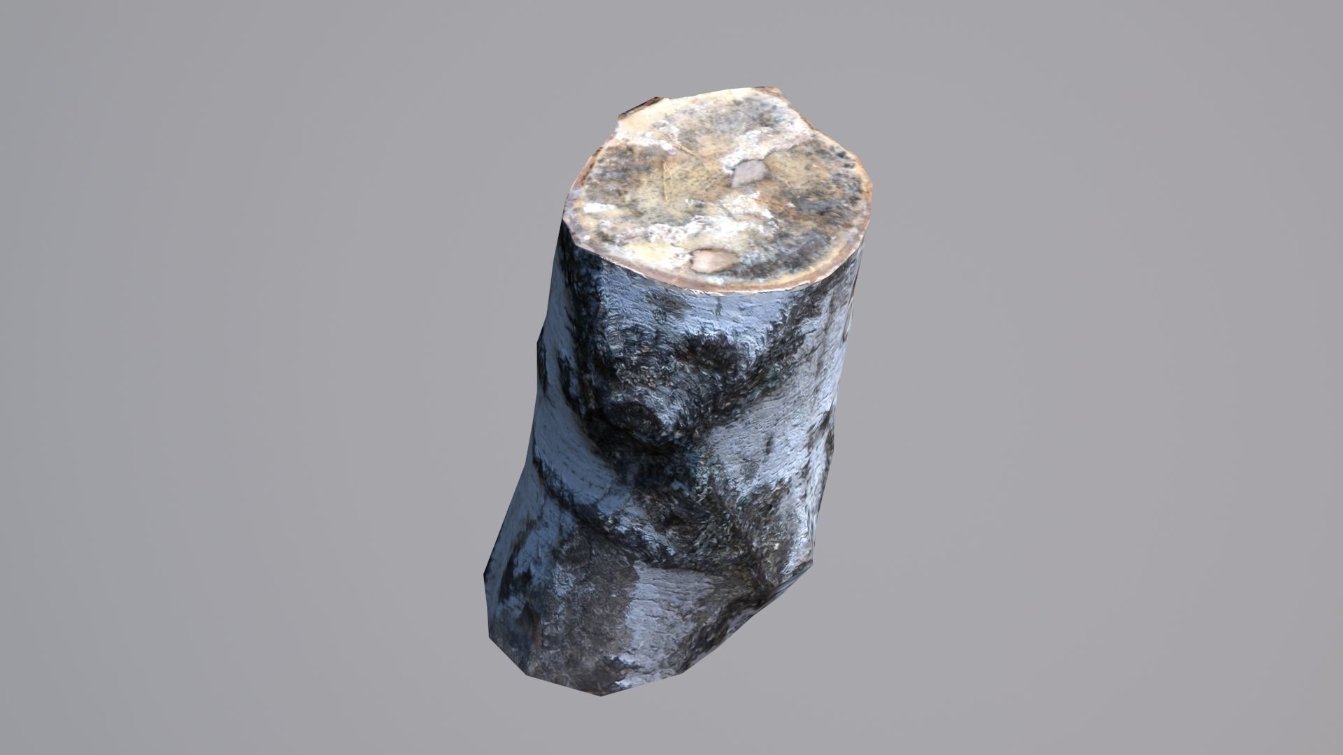 Stump birch Low-poly 3D model_4