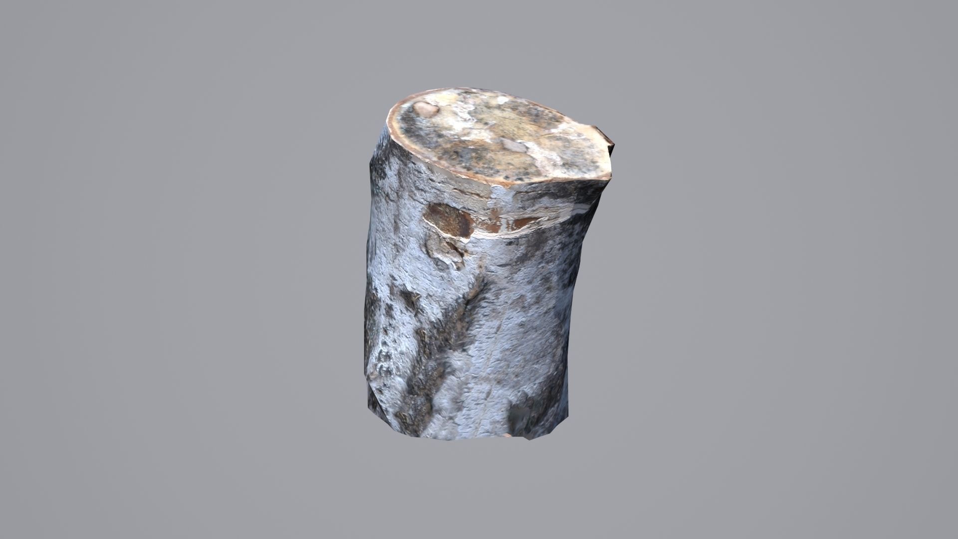 Stump birch Low-poly 3D model_8