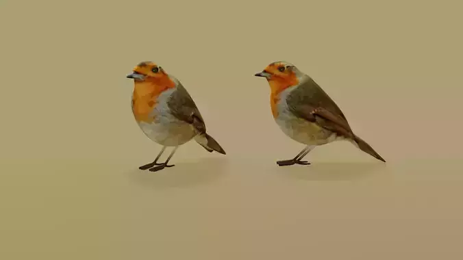 Bird red throat simple