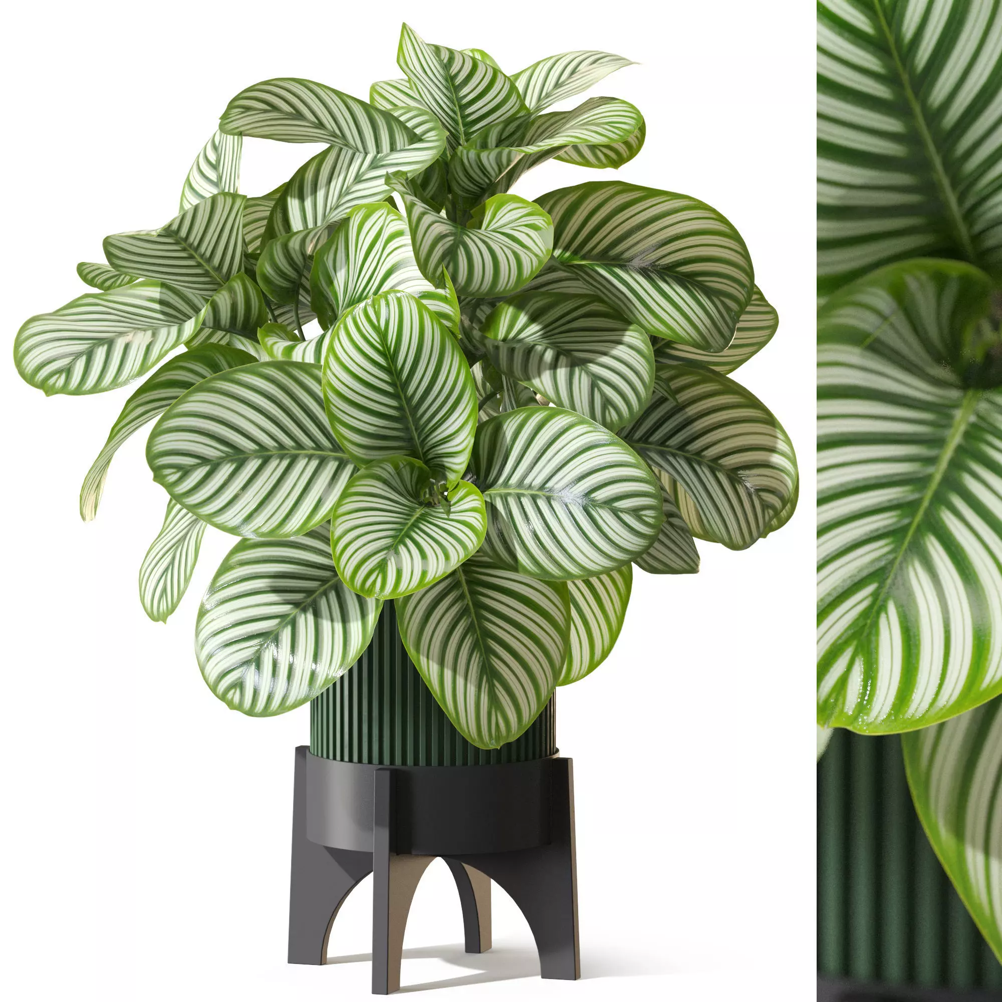 Plant 1304 3D model