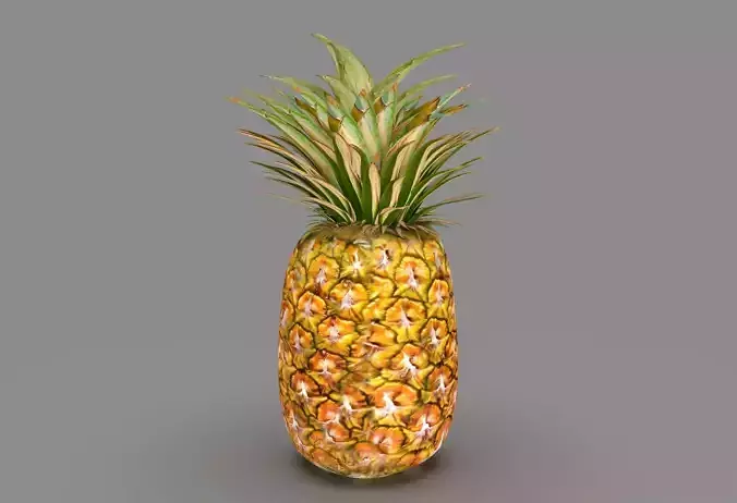 The Pineapple fruit ripe 