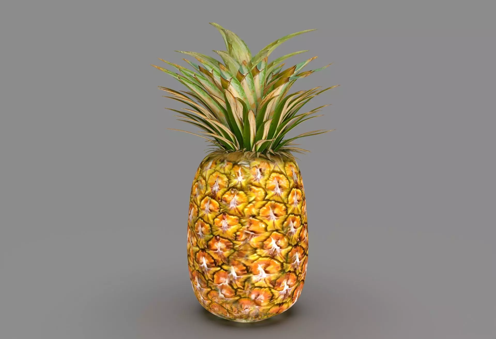 The Pineapple fruit ripe 3D model