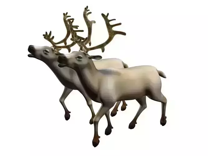reindeer 3D Model two