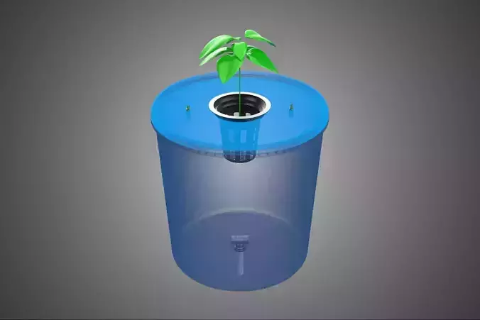 DUTCH BUCKET PLANT VEGETABLE FRUIT ORGANIC HYDROPONIC FARMING