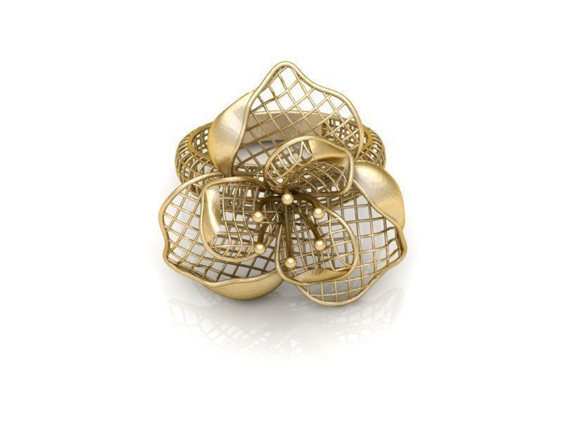 Ring ultra vision 3D print model_1