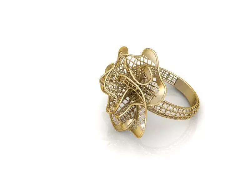 Ring ultra vision 3D print model_0