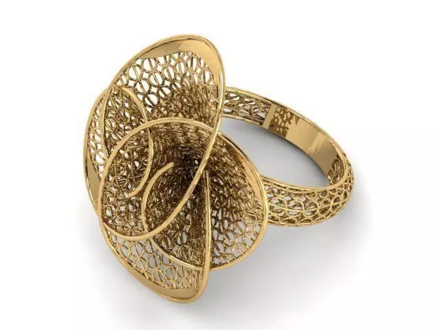 Ring ultra vision 3D print model_0