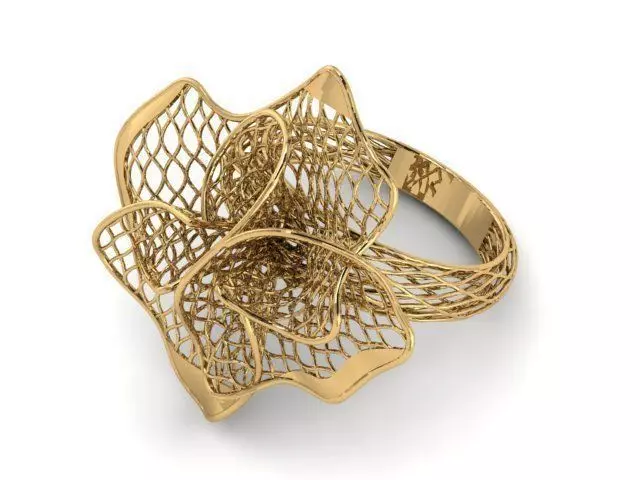 Ring ultra vision 3D print model_0