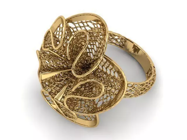 Ring ultra vision 3D print model_0