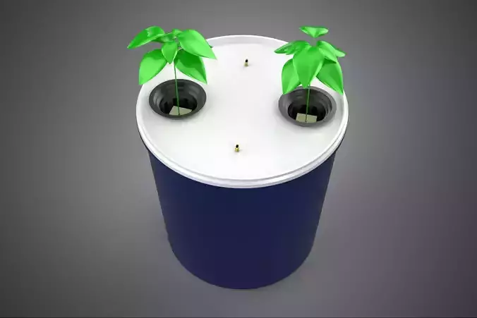 HYDROPONIC VEGETABLES FRUITS DUAL DUTCH BUCKET CHAMBER PLANT DIY