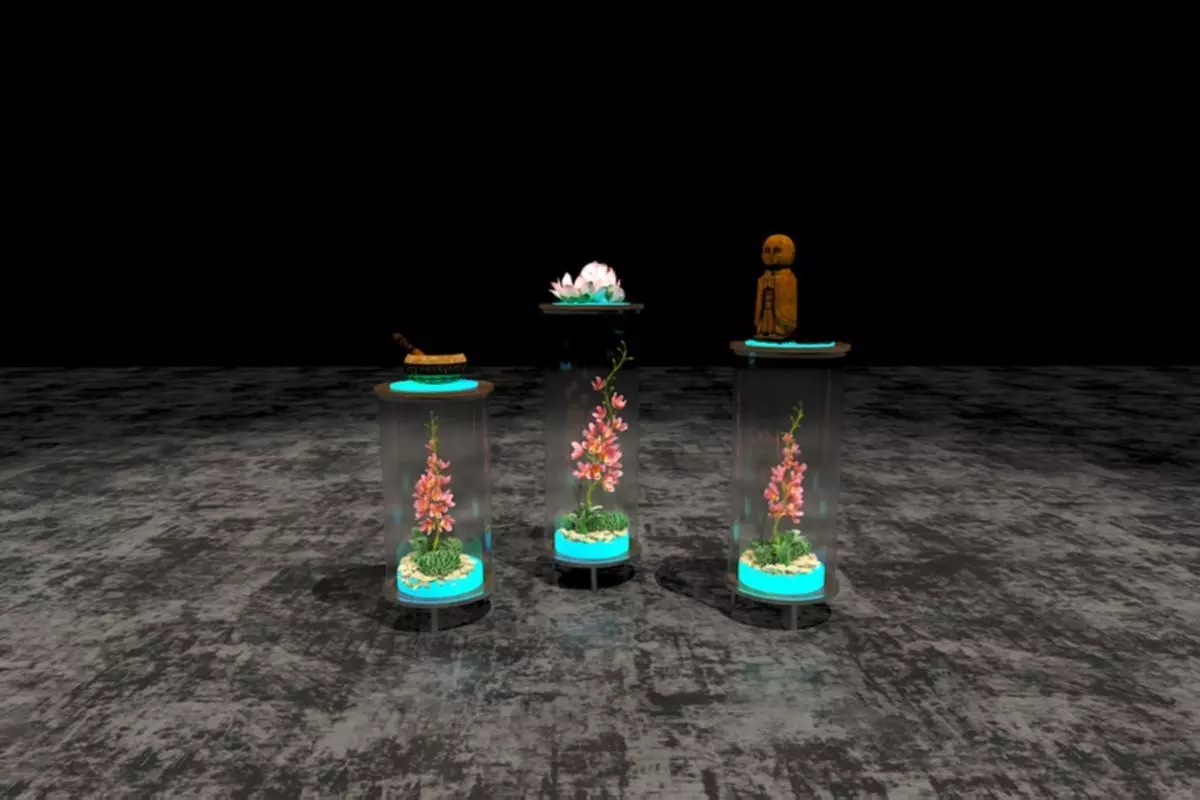individual display cabinets 3D model