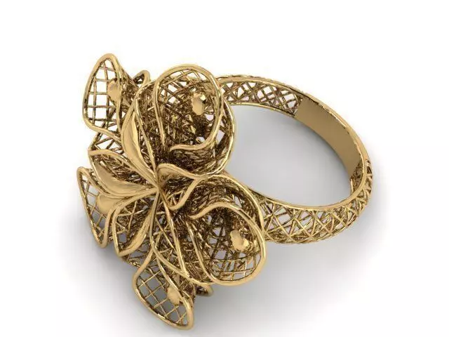 Ring ultra vision 3D print model_0