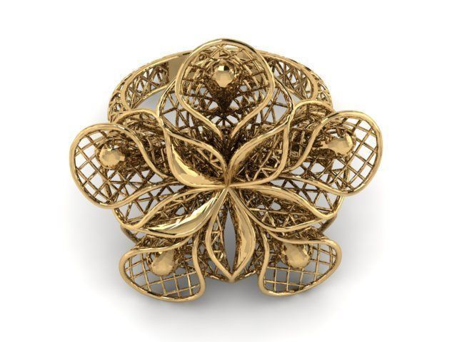 Ring ultra vision 3D print model_1