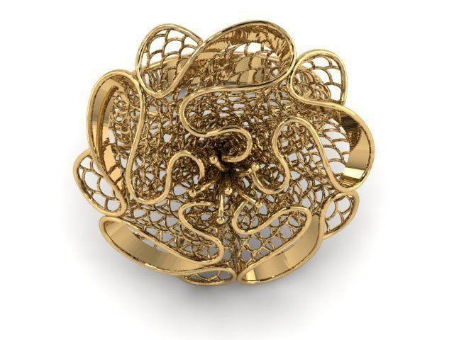 Ring ultra vision 3D print model_1