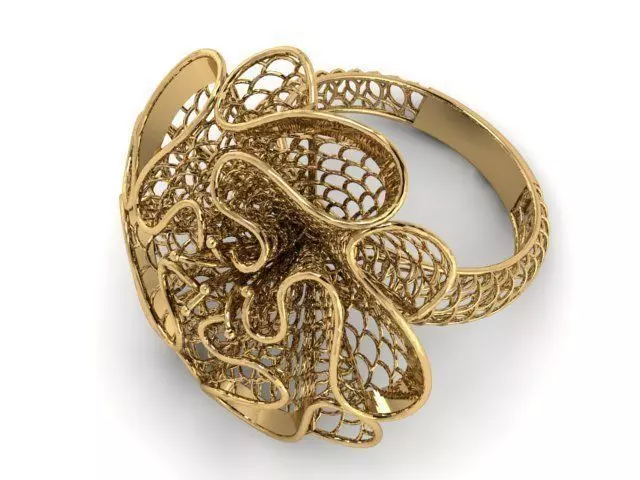 Ring ultra vision 3D print model_0