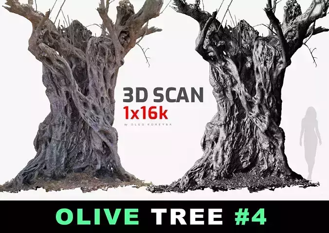 Massive Ancient Cracked Olive Tree 4 RAW 3D Scan 1x16k Textures 