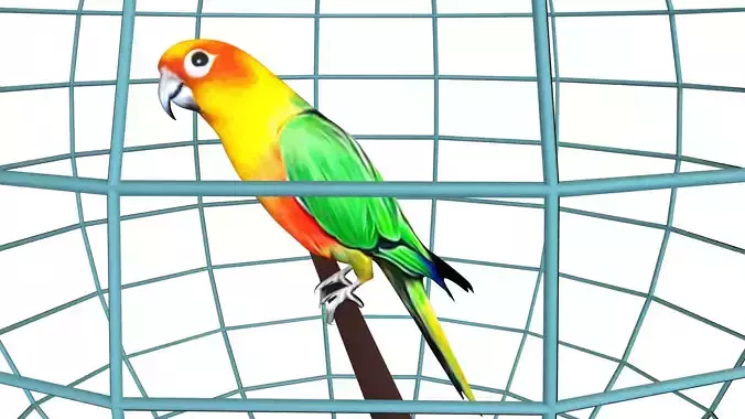 Parrot in cage model simple low