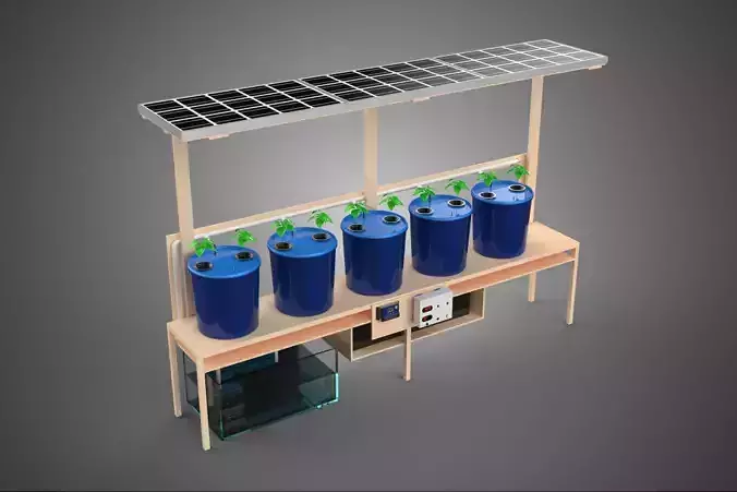 IOT SOLAR POWERED DUTCH BUCKET SYSTEM HYDROPONIC FARMING PLANT