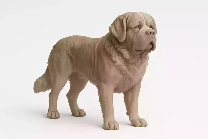 Realistic Saint Bernard dog