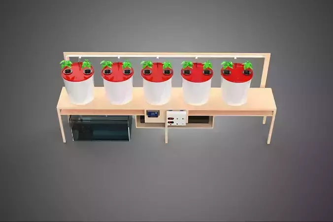 IOT PLANT POT RECIRCULATING HYDROPONIC DUTCH BUCKET SYSTEM SETUP