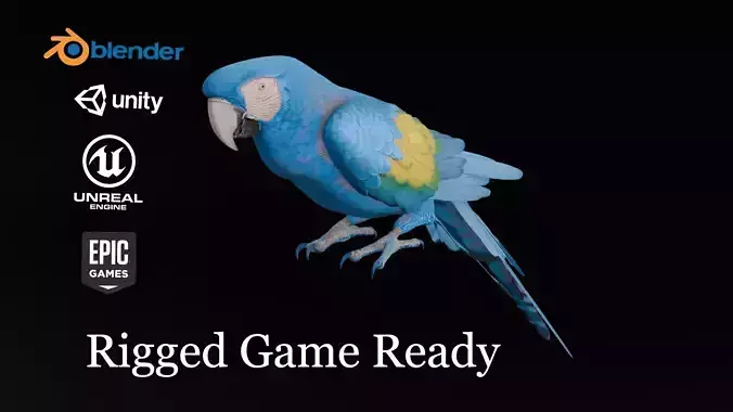 Rigged Parrot  Game Ready Blender Unity Unreal